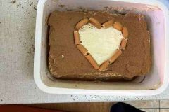 644250443_1315890317226658_2574879064183975113_n