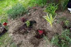 IMG-3cbcb7a4b4e3cae371244794248c6c8d-V
