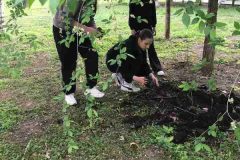 IMG-5dd8813a043915255a3f032798b170c5-V